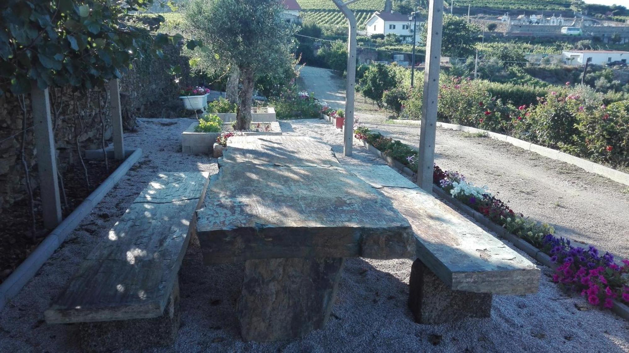Casa Da Jesus Βίλα Provesende Εξωτερικό φωτογραφία