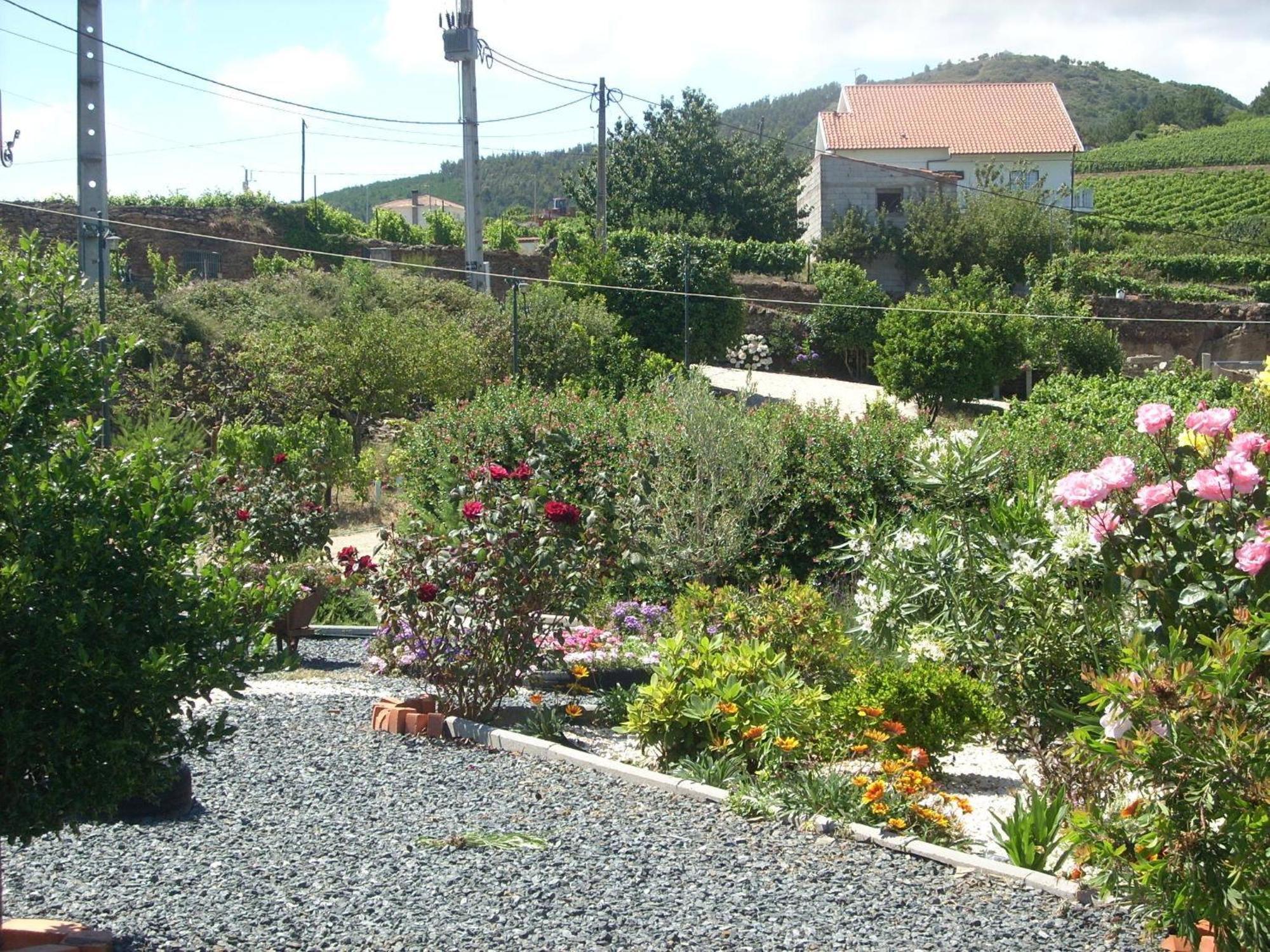 Casa Da Jesus Βίλα Provesende Εξωτερικό φωτογραφία